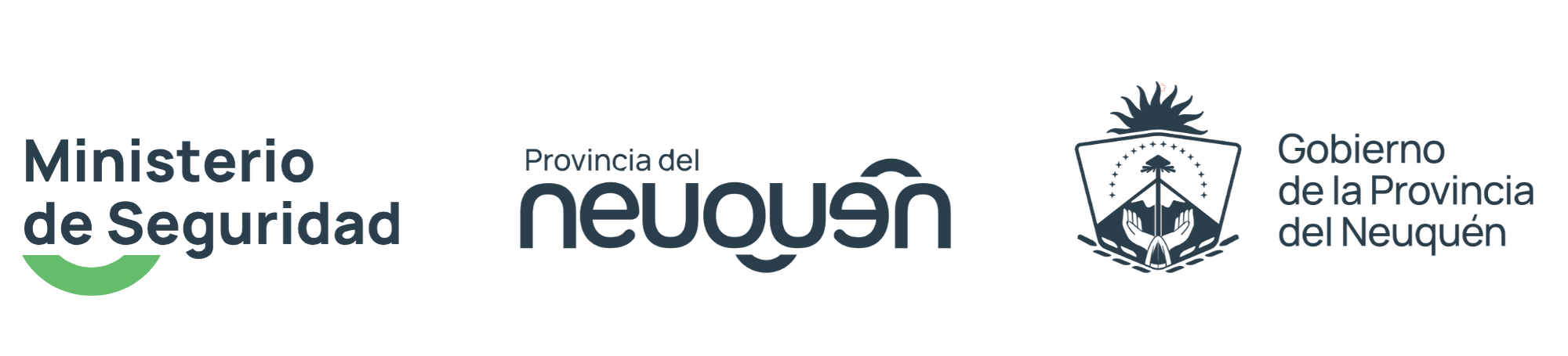 Logo organizador